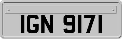 IGN9171