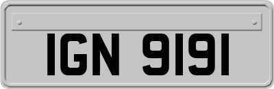 IGN9191