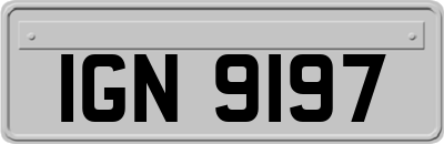 IGN9197