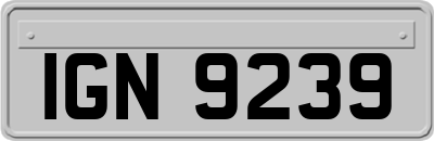 IGN9239