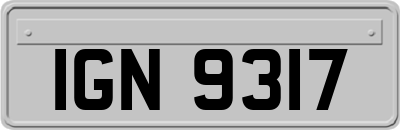 IGN9317