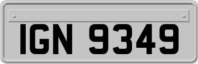 IGN9349