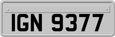 IGN9377