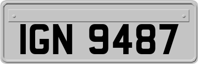IGN9487