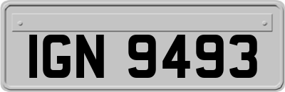 IGN9493