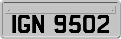 IGN9502