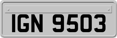 IGN9503