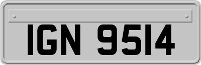 IGN9514