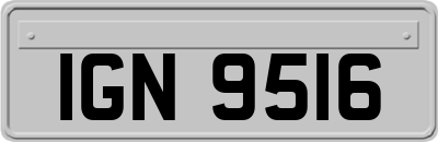 IGN9516
