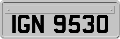 IGN9530