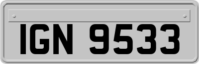 IGN9533