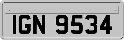 IGN9534