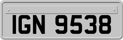 IGN9538