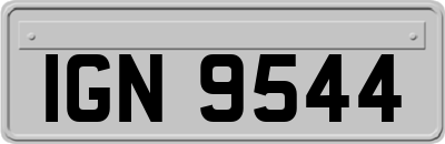 IGN9544