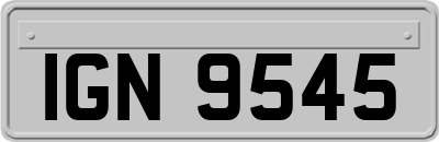 IGN9545