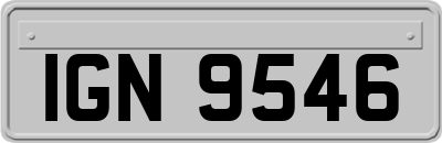 IGN9546