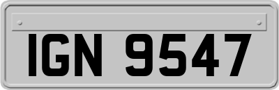 IGN9547