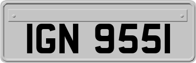 IGN9551