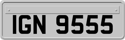 IGN9555