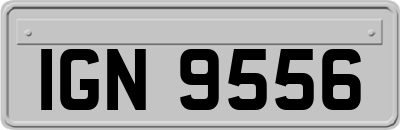IGN9556