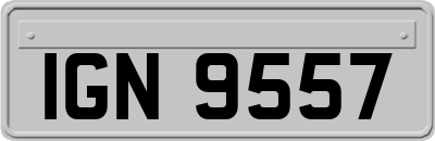 IGN9557