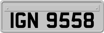 IGN9558