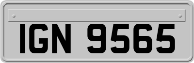 IGN9565