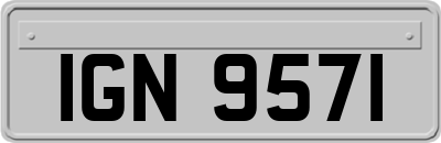IGN9571