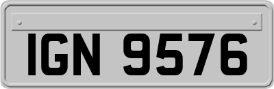IGN9576