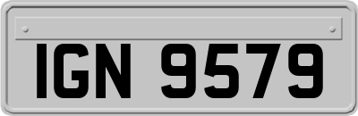 IGN9579