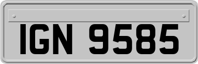 IGN9585