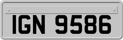 IGN9586