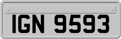 IGN9593