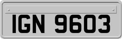 IGN9603