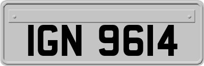 IGN9614