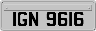 IGN9616