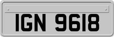 IGN9618