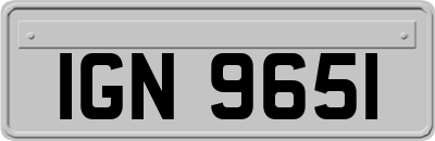 IGN9651