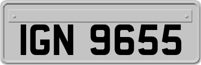 IGN9655
