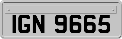 IGN9665