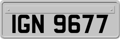 IGN9677