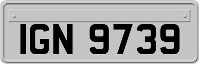 IGN9739