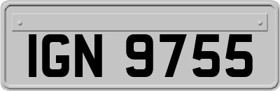 IGN9755