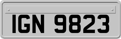 IGN9823
