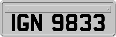 IGN9833