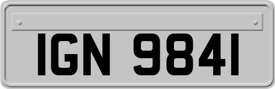 IGN9841