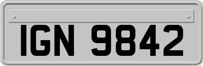 IGN9842