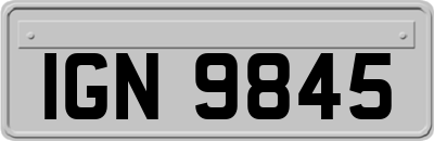 IGN9845