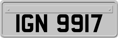 IGN9917