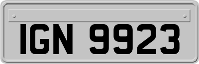 IGN9923